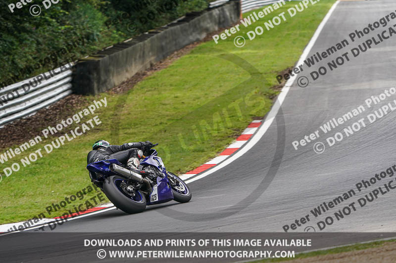 brands hatch photographs;brands no limits trackday;cadwell trackday photographs;enduro digital images;event digital images;eventdigitalimages;no limits trackdays;peter wileman photography;racing digital images;trackday digital images;trackday photos